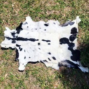 Black and White Goat Hide